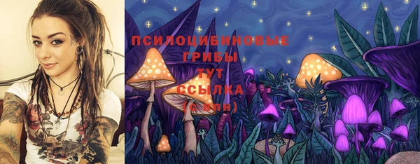 прущие крисы Беломорск
