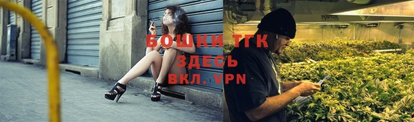 PSILOCYBIN Баксан