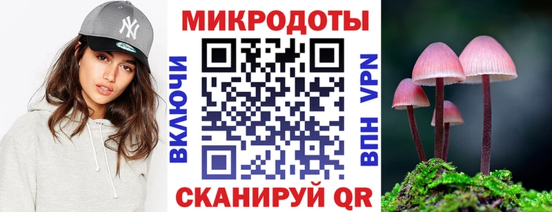 Псилоцибиновые грибы мицелий Амурск