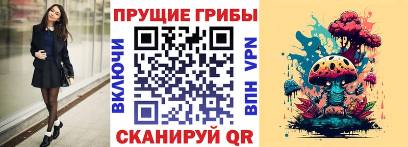 Купить  Амурск  Псилоцибиновые грибы Magic Shrooms 